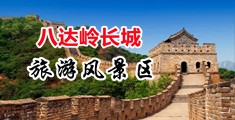 少萝互插网站中国北京-八达岭长城旅游风景区